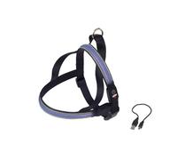 Harnais norvégien pour chien Nobby Pet Flash Mesh Bleu S