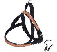 Harnais norvégien pour chien Nobby Pet Flash Mesh Orange S