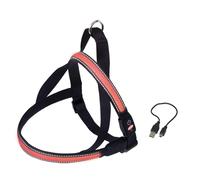 Harnais norvégien pour chien Nobby Pet Flash Mesh Rouge S