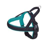 Harnais norvégien pour chien Nobby Pet Mesh Preno Bleu L/XL