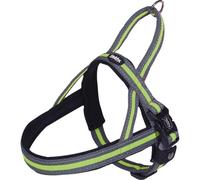 Harnais norvégien pour chien Nobby Pet Variado Jaune L/XL
