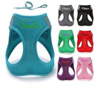 Harnais personnalisé pour chien avec laisse, ensemble harnais et laisse anti-traction personnalisés, noms personnalisés, harnais pour animaux de compagnie pour chiens et chats de petite, moyenne et