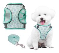 Harnais Petit Chien Anti-Traction,Step-in Harnais Doux Réglable Respirant,Réfléchissant Rembourré pour Chiots,avec Imprimé