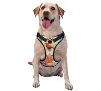Harnais pliable de qualité supérieure pour chiens de petite, moyenne et grande taille - Durable, anti-traction avec sangles réfléchissantes et boucles à dégagement rapide - Taille S