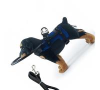 Harnais pour animal domestique avec laisse intégrée réglable pour promener un chien aveugle sécurisé