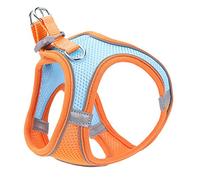 Harnais pour Animal Domestique - Harnais pour Chien de Taille Moyenne - Chaînes Robustes pour l'extérieur - Gilet réglable personnalisé pour Chien - Orange XXS