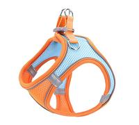 Harnais pour Animaux de Compagnie, Gilet pour Chien de Taille Moyenne, chaînes Robustes pour l'extérieur, Fourniture pour Chien, Gilet réglable personnalisé pour Chien (Orange S)