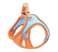 Harnais pour Animaux de Compagnie, Gilet pour Chien de Taille Moyenne, chaînes Robustes pour l'extérieur, Fourniture pour Chien, Gilet réglable personnalisé pour Chien (Orange L)