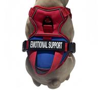 Harnais pour animaux de compagnie pour chiens de taille moyenne, gilet de service pour chien sans traction, harnais de dressage réglable pour chien, gilet de travail réfléchissant pour animaux de comp
