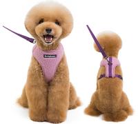 Harnais pour animaux de compagnie Respirant Doux RembourrŽ Gilet d'entrŽe Harnais Leash Set pour animaux de compagnie Chien Chat Formation en plein air, Taille M Violet