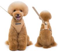 Harnais pour animaux de compagnie Respirant Doux RembourrŽ Gilet d'entrŽe Harnais Leash Set Pour Animaux de compagnie Chien Chat Entraînement en plein air, Taille S CafŽ