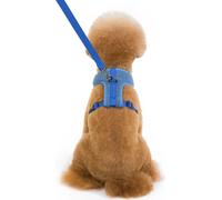 Harnais pour animaux de compagnie Respirant Doux RembourrŽ Gilet d'entrŽe Harnais Leash Set pour animaux de compagnie Chien Chat Entraînement en plein air, Taille XL Bleu
