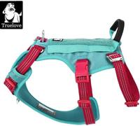 Harnais pour animaux domestiques, anti-fugue, réfléchissant, bleu piscine, L-chest 69-81 cm
