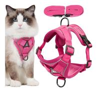 Harnais pour chat anti-fuite, harnais pour chat anti-fuite, laisse de jogging et laisse pour chatons et chiots qui marchent, harnais pour chaton