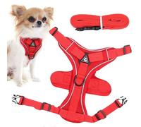 Harnais pour chat anti-fuite, harnais pour chat et laisse pour chatons et chiots qui marchent