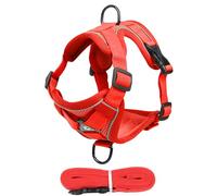 Harnais pour chat anti-fuite, harnais pour chat - harnais pour gilet pour chat respirant, harnais et laisse pour chats pour chatons et chiots qui marchent, harnais pour chatons à pr f r