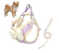 Harnais pour chat avec laisse en maille souple réglable, anti-éclatement, avec deux anneaux en D, nœud papillon rose, décoration pour des promenades en plein air sûres, violet, taille L