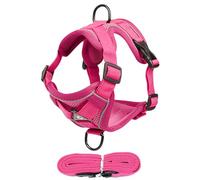 Harnais pour Chat Gilet Anti-Évasion Ajustable À Bandes Réfléchissantes | Harnais Gilet Chat Respirant Doux Réglable Anti-Fugue Promenade pour Chatons et Chiens de Petite