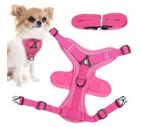 Harnais pour chat, harnais et laisse pour chat, harnais réfléchissant pour chats - Harnais et laisse pour chats pour chatons et chiots qui marchent, harnais pour chatons à l'épreuve des fuites