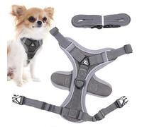 Harnais pour chat, harnais pour chat, laisse de course pour chats - Ensemble harnais et laisse pour chat pour marcher, chat et chiot, harnais réfléchissant pour chat résistant aux fuites