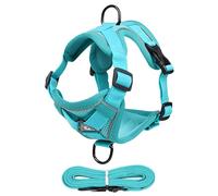 Harnais pour chat, harnais pour chats et laisse de marche pour chats | Ensemble harnais et laisse pour chat pour marcher, et chiot, harnais réfléchissant pour résistant aux fuites