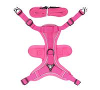 Harnais pour Chat, Harnais pour Chats, Laisse de Course pour Chats | Ensemble Harnais et Laisse pour Chat pour Marcher, et Chiot, Harnais réfléchissant pour Chat résistant aux fuites