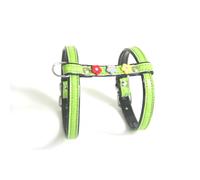 Harnais pour chat Martin Sellier Paquerette Vert 12 mm