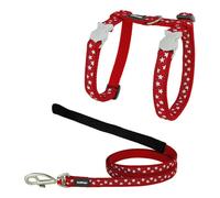 Harnais pour chat Red Dingo Style Rouge Étoile Blanc Sangle