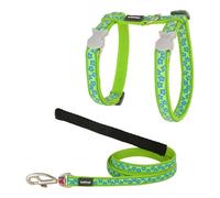 Harnais pour chat Red Dingo Style Turquoise Étoile Sangle