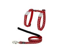 Harnais pour chat Style Etoile Sangle Multicolore