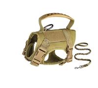 Harnais pour Chat Taille L Boucle à dégagement Rapide Anti-Fuite