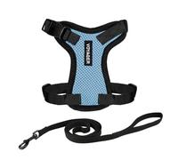 Harnais pour Chat Voyager Step-in Lock et Laisse pour Chat avec poignée en néoprène by Best Pet Supplies - pour Les Chats de Petite, Moyenne et Grande Taille, Bleu Clair/Bordure Noire, Size XXXS