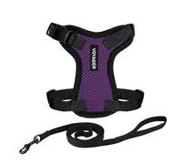 Harnais pour chat Voyager Step-in Lock et laisse pour chat avec poignée en néoprène by Best Pet Supplies - pour les chats de petite, moyenne et grande taille, Pourpre / Bordure noire, size S - 1,5 m