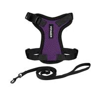 Harnais pour chat Voyager Step-in Lock et laisse pour chat avec poignée en néoprène by Best Pet Supplies - pour les chats de petite, moyenne et grande taille, Pourpre / Bordure noire, size XS - 1,5 m