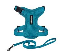 Harnais pour Chat Voyager Step-in Lock et Laisse réfléchissante pour Chat avec poignée en néoprène by Best Pet Supplies - pour Les Chats de Petite, Moyenne et Grande Taille, Turquoise, Size S - 1,5 m