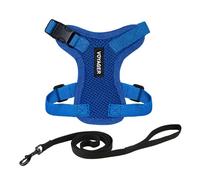 Best Pet Supplies Voyager Step-in Lock Ensemble harnais pour chien avec laisse réfléchissante et poignée en néoprène, 1,5 m, pour chats de petite, moyenne et grande race, bleu roi, taille XS