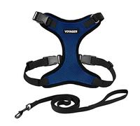 Harnais pour Chat Voyager Step-in Lock et Laisse réfléchissante pour Chat, poignée en néoprène by Best Pet Supplies - pour Les Petites, Moyennes et Grandes Chats, Bleu Royal/Bord Noir, XS - 1,5 m