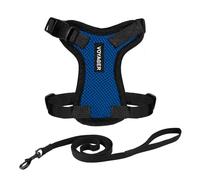 Harnais pour Chat Voyager Step-in Lock et Laisse réfléchissante pour Chat, poignée en néoprène by Best Pet Supplies - pour Les Petites, Moyennes et Grandes Chats, Bleu Royal/Bord Noir, S - 1,5 m