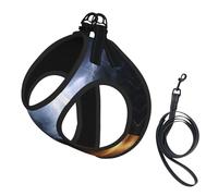 Harnais pour chien « A Night of Lightning and Thunder » - Harnais réglable avec design réfléchissant - Convient pour les chiens, les chats, la randonnée et les activités de plein air