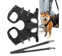 Harnais pour chien à porter - Sangle de soutien pour la récupération et aide au lever des chiots - Harnais de transport réglable pour chiens âgés et entraînement en plein air