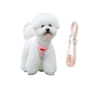 Harnais pour chien - accessoire animal domestique respirant et réfléchissant, ensemble harnais et laisse de traction pour chiots, pour chiots, activités commerciales et promenades quotidiennes en