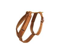 Harnais pour chien actif Kentucky Velvet Orange S