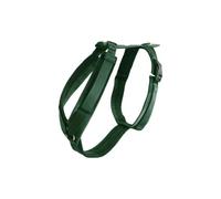Harnais pour chien actif Kentucky Velvet Vert XL