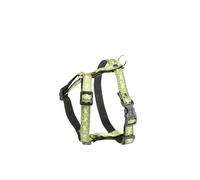 Harnais pour chien Alter Ego Salamandre Vert S (15 mm)