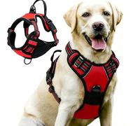 Harnais pour chien anti-traction réglable, rembourré, doux, Oxford réfléchissant avec poignée de contrôle facile pour les grands chiens, promenades, dressage en plein air, rouge, taille L