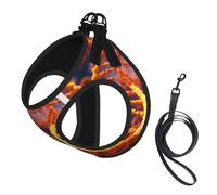 Harnais pour chien avec chaîne ADN avec impression photo, 2 boucles, gilet pour chien, clip avant anti-traction pour laisse pour chiens de petite et moyenne taille