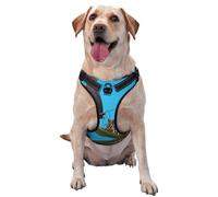 Harnais pour chien avec deux jolis papillons - Équipé de sangles réfléchissantes et de boucles à dégagement rapide - Convient à tous les types de chiens