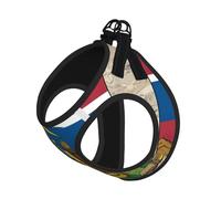 Harnais pour chien avec drapeau abstrait de l'État de l'Idaho - Imprimé carte 02 - Réglable - Pour promenade et chiot - Avec clips de laisse - Harnais d'entraînement pour animal domestique