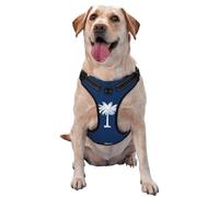 Harnais pour chien avec drapeau de la Caroline du Sud, équipé de sangles réfléchissantes pour animaux de compagnie et de boucles à dégagement rapide, adapté à tous les types de chiens
