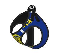 Harnais pour chien avec drapeau de l'État de l'Oregon - Respirant, réfléchissant et réglable - Convient pour les petits chats et chiens